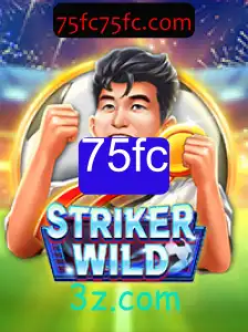 Explorando o Universo de StrikerWILD: Um Mergulho nas Regras e Dinâmicas do Jogo